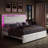 Chantaya Upholstered Platform Storage Bed-2123045526-2123045522