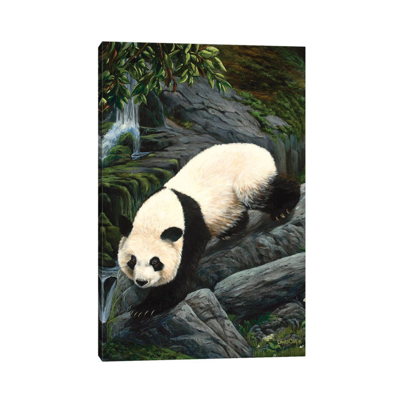 Panda Climbing Down by Laura Curtin - Wrapped Canvas Painting, 20.32 cm H x 30.48 cm W