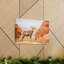 Wall Art on Canvas-723525050