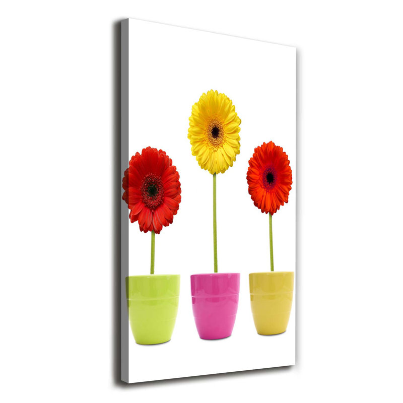 Colourful Gerberas - Wrapped Canvas Print