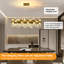 20 - Light Chandelier