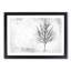 Lone Tree at Winter - Picture Frame Painting Print-55580653-55580658