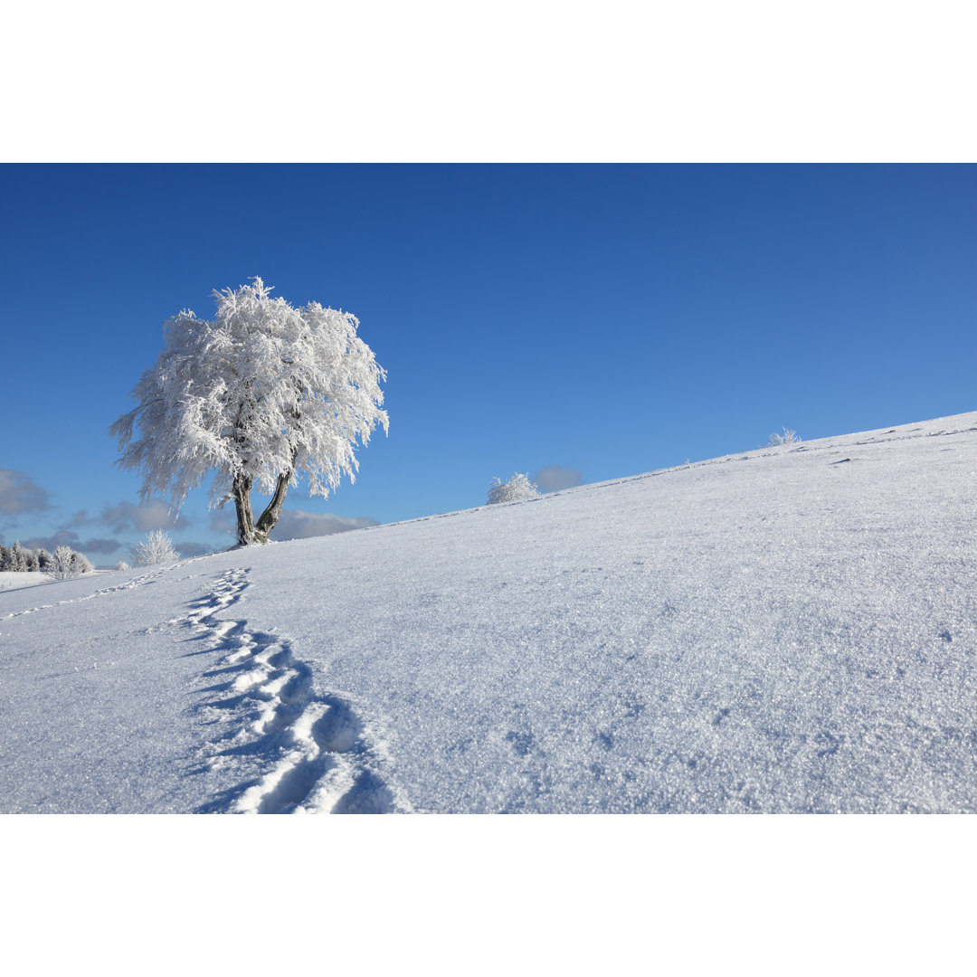 Fußspuren im Schnee