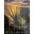 Led Outdoor Landscape Spotlight