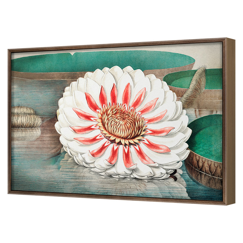 Lilies 3 Print by Grand Archives