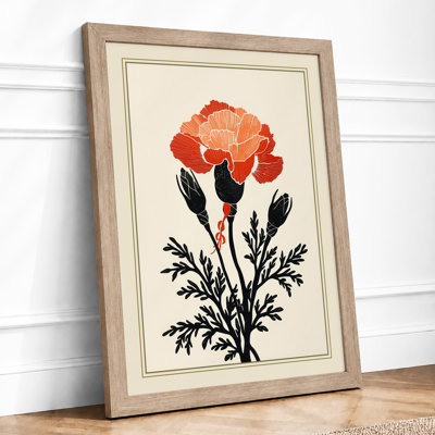 Carnation Study Botanical - Framed Print