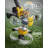 20V Cordless String Trimmer with 2 x 2.0Ah Batteries & Charger, 12" Electric Grass Trimmer, 8 String Strimmer Lines, Battery Powered Weed Wacker for Lawn and Yard Care-124362386