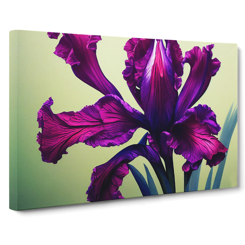 Classic Iris Flowers - Wrapped Canvas, 35cm H x 50cm W x 3cm D