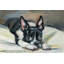 Frenchie Eyes by Eyre Tarney - Wrapped Canvas Print-193066731