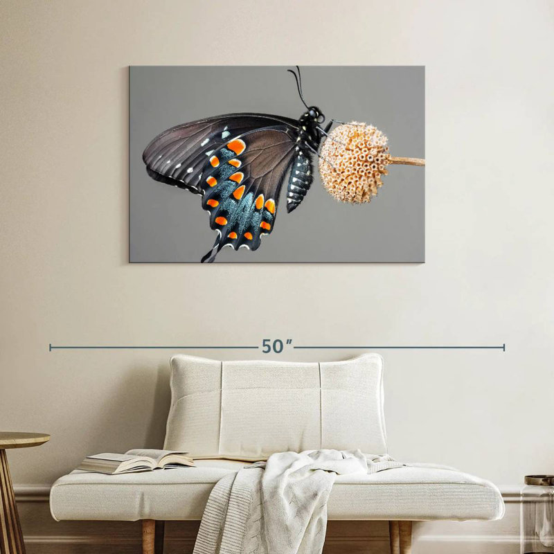 Papillon machaon noir Brampt, H 26 po x l 39 po
