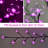 72'' Lighted Trees & Branches