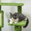 360.68cm H Cat Tree