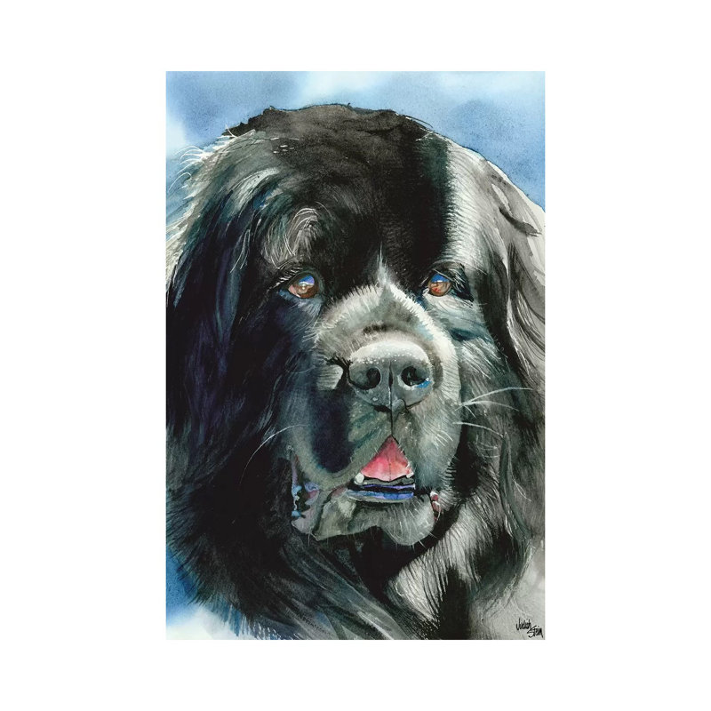 " What's Newfie - Newfoundland " by Judith Stein Painting Print, 26" H x 18" W x 1.5" D