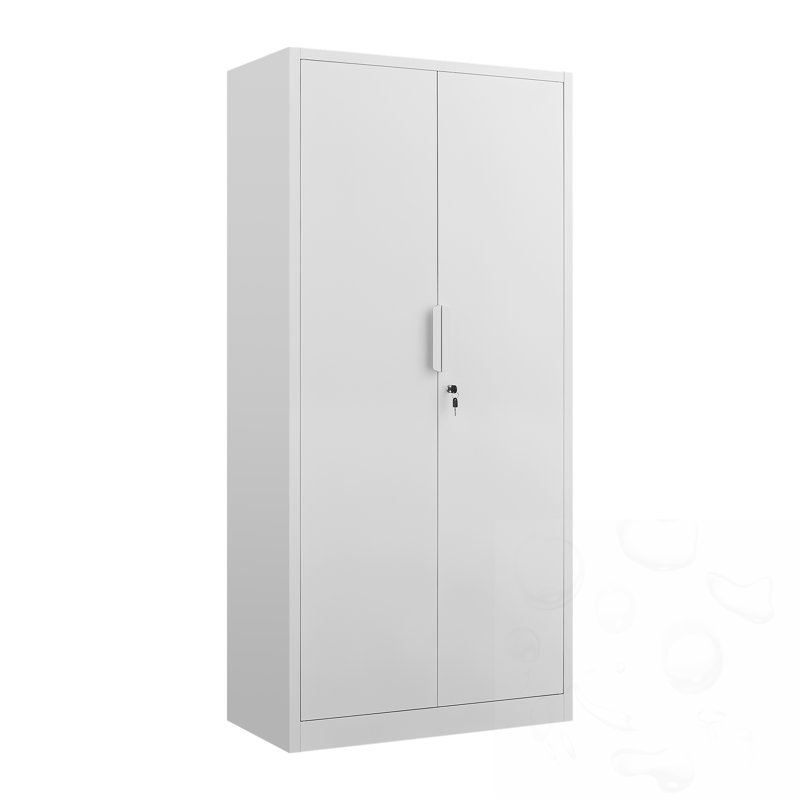 Classeur à 2 portes avec serrure et 4 tablettes réglables, White