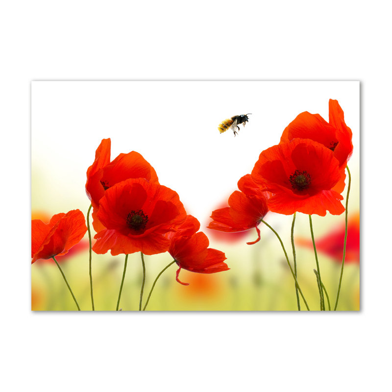 Maki - No Frame Print on Canvas