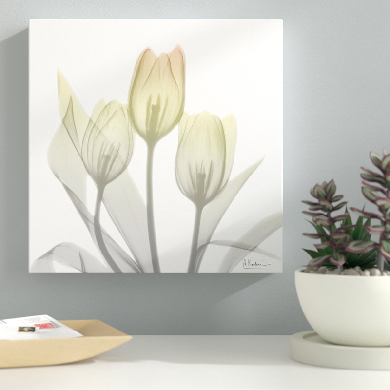Sunday Morning Tulips Two - Wrapped Canvas Print, 30 cm H x 30 cm W