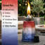 Torches Tiki Citronella-96582601