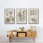 " Sepia Botanical Journal VI " 3 - Pieces-91891620-91891628