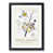 Black Framed selected