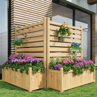 Vertical Garden