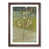 Walnut Framed selected