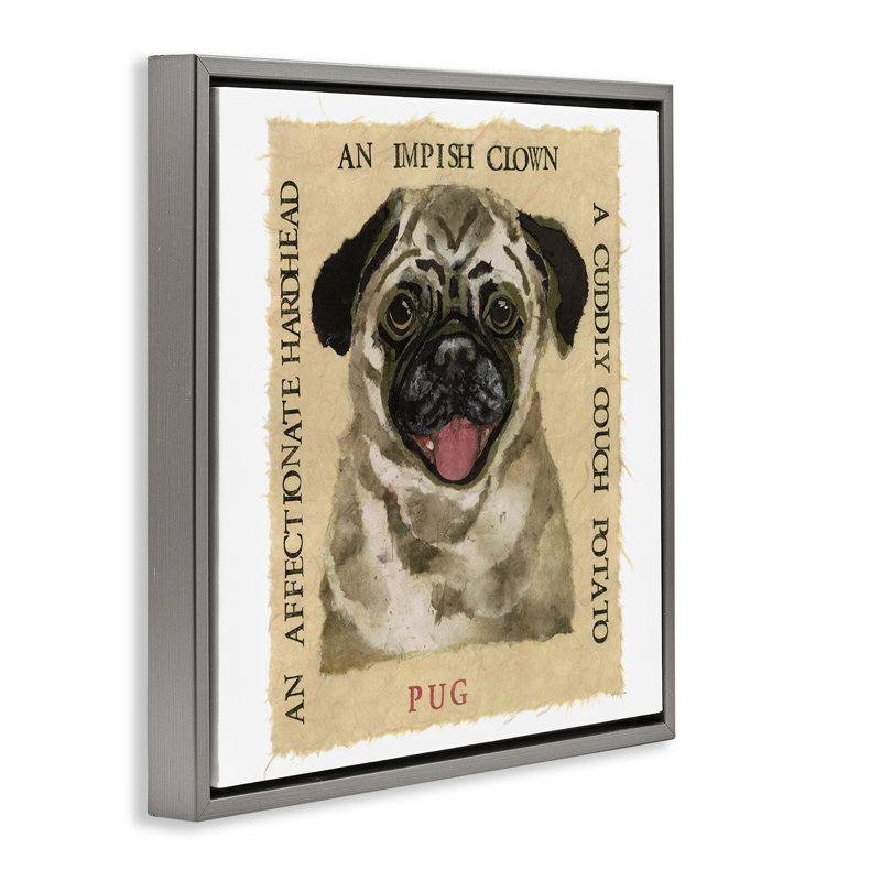 "Fun Pug Pet", art mural encadré flottant par Nancy Overton, Cadre flottant gris lustré, H 18 po x l 18 po