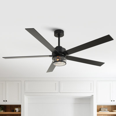 65" Rivenbark 5 - Blade Caged Ceiling Fan with LED Lights and Remote Control