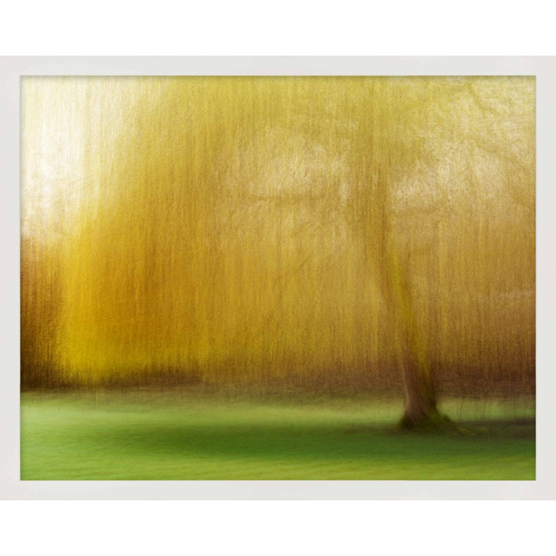 Spring Lingerie by Laura Zimmerman - Framed Wall Art, 40" H x 50" W, White Framed Paper