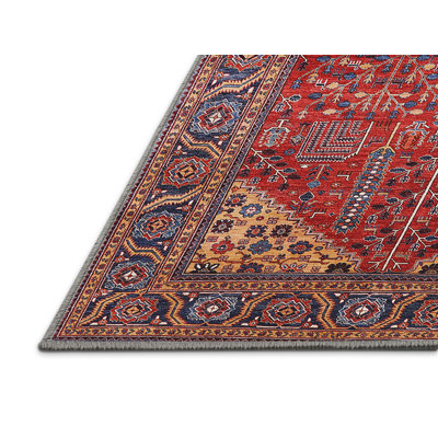 Oriental Indoor Rug