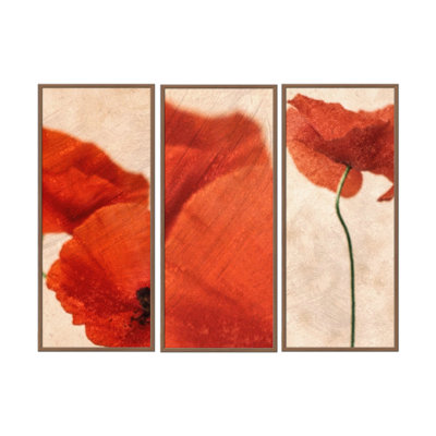 Nature Inspired Three Red by Delphine Devos - 3 Piece Picture Frame Print Set on Wood