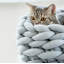 Tapis de lit pour animal de compagnie-2139225961-2139225963