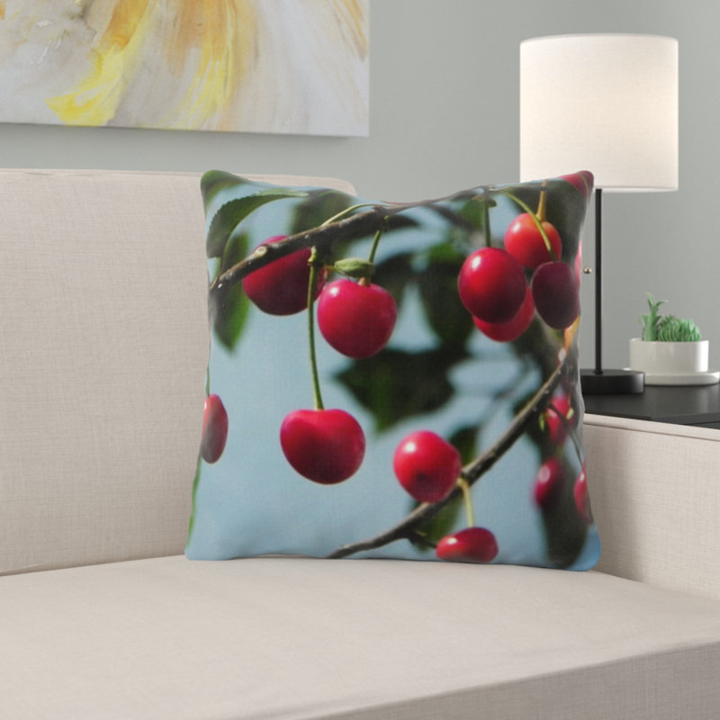 Coussin en cerises
