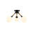 Capilano - 3-Light Semi-Flush Mount - Black
