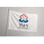 Drapeau de la ville de Seongnam — Drapeau extérieur-684310453