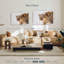 Ronce de lions en hiver-107851897