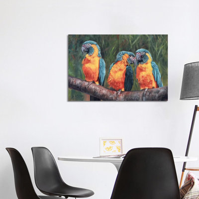 Macaws by David Stribbling - Wrapped Canvas Painting