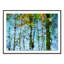 Reflection II Print by Geoffrey Baris-48620732-48620730