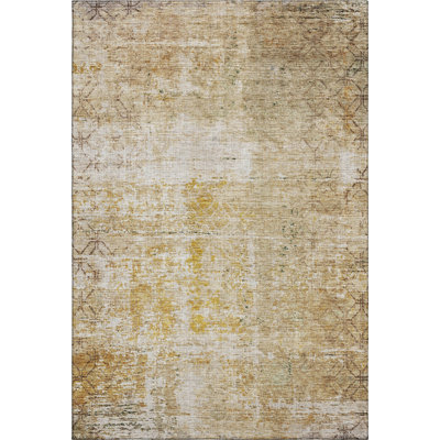 Premium Machine Washable Jacoby AMF1169 Geometric Rug