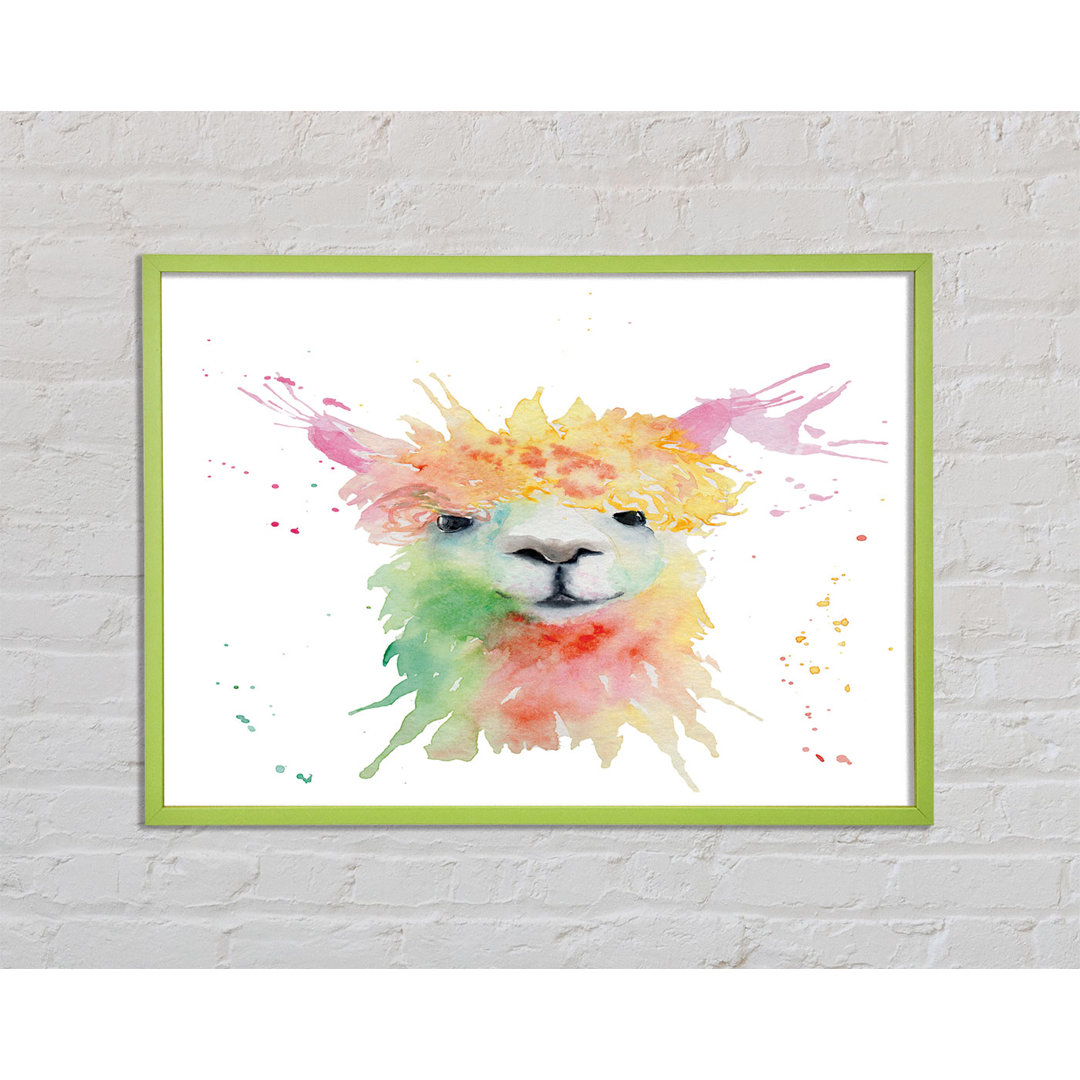 Cubiko Splatter Colour Alpaca - Einzelner Bilderrahmen Kunstdrucke