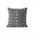 Gris anthracite