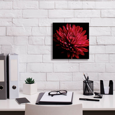 " Red Chrysanthemum On Black " by Tom Quartermaine