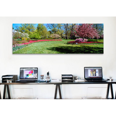 " Tulips and cherry trees in a garden, Sherwood Gardens, Baltimore, Maryland, USA " Color Photography