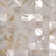 4'' x 4'' Natural Shell Listello