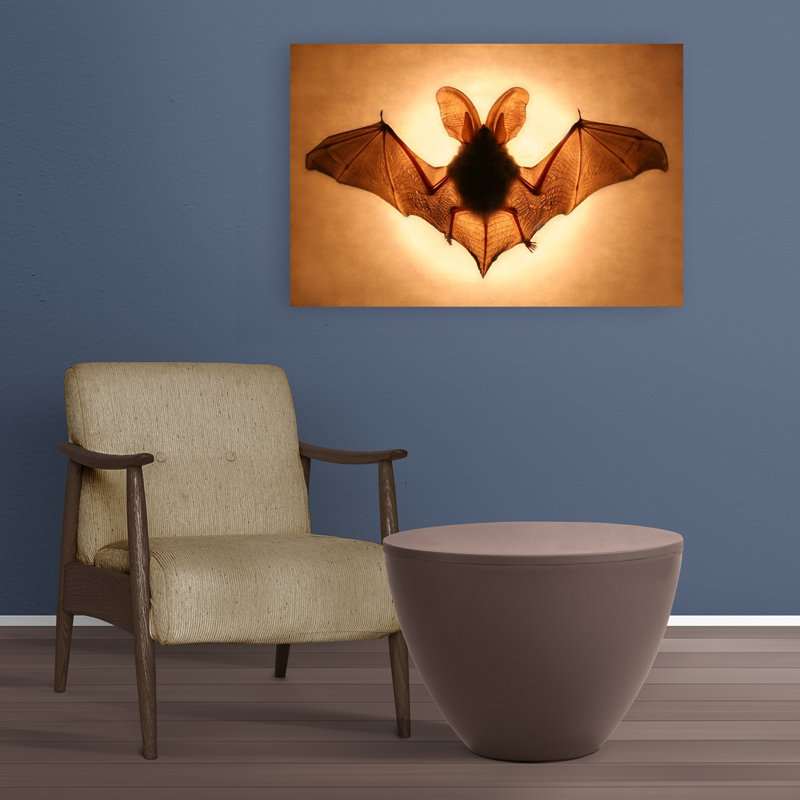 Ailes de chauve-souris - Affiche murale contemporaine représentant des chauves-souris, la nature et la faune, 24" H x 36" W