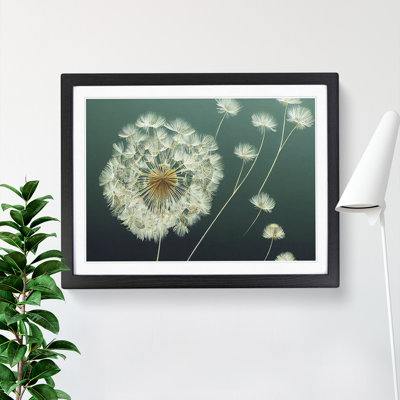 Unusual Dandelion Flowers - Framed Print