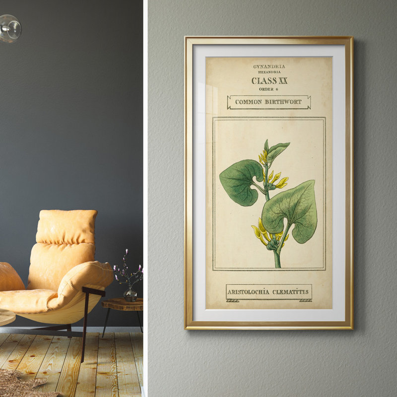 Linnaean Botany V - peinture sur toile encadrée, Doré, H 14,5 po x l 26,5 po x P 1,5 po