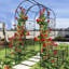 Arche de jardin en métal avec tablettes latérales pour plantes, l 79,5 po x H 86,6 po, noire, pour plantes grimpantes - lierre, rose, gloire du matin, jasmin