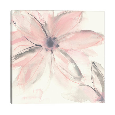 Blush Clematis Ii by Chris Paschke - Wrapped Canvas Painting