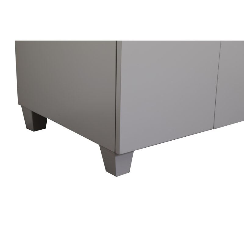 Breitkoff 24'' Single Bathroom Vanity with Ceramic Top, Gray