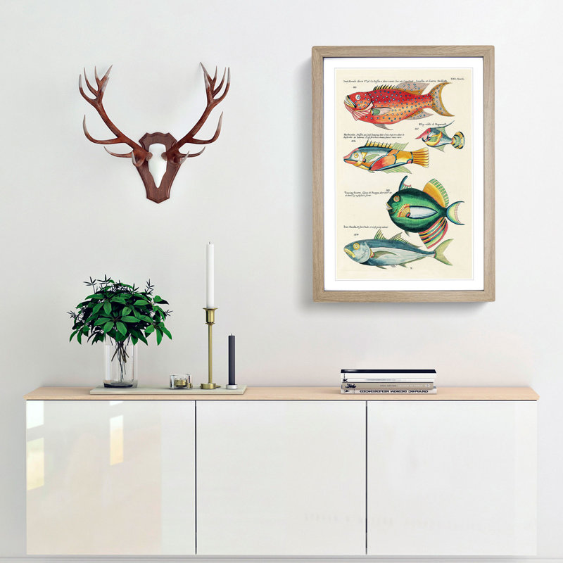 East Indies Fish Illustrations XXI by Louis Renard - Picture Frame Graphic Art Print, Oak Framed, 36cm H x 27cm W x 2cm D